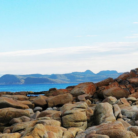 Aplite House - Gold Coast 31