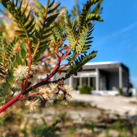 Aplite House - Gold Coast 36