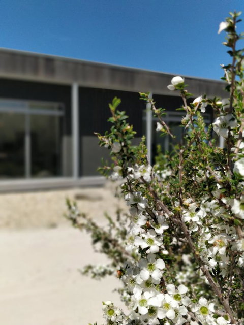 Aplite House - Gold Coast 7