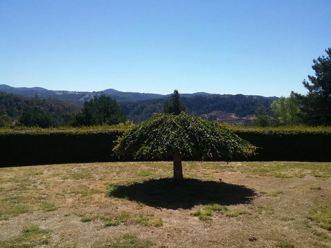 Robin\'s Nest B&B - Gold Coast 28