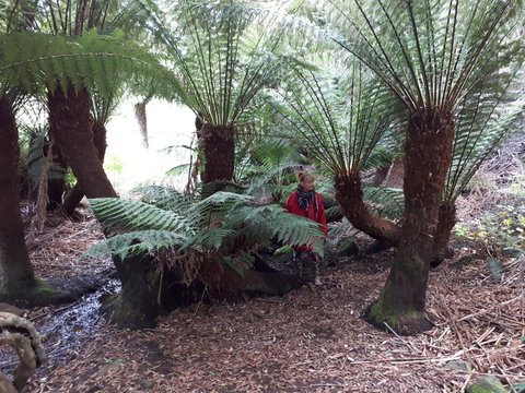 Robin\'s Nest B&B - Gold Coast 9