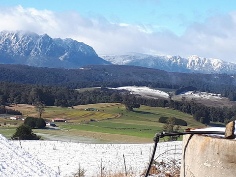 Robin\'s Nest B&B - Gold Coast 12