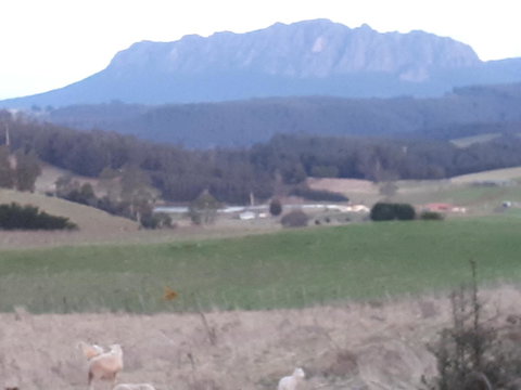 Robin\'s Nest B&B - Gold Coast 32