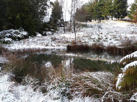 Robin\'s Nest B&B - Gold Coast 25