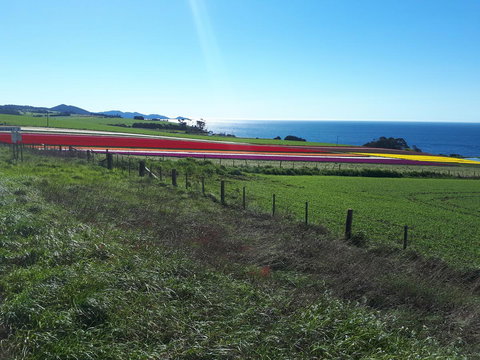 Robin\'s Nest B&B - Gold Coast 26