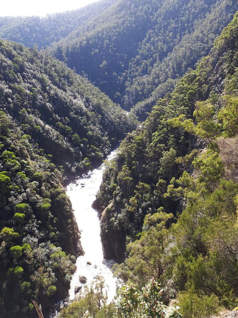 Robin\'s Nest B&B - Gold Coast 22