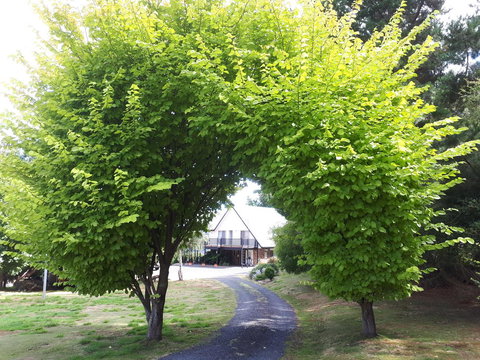 Robin\'s Nest B&B - Gold Coast 10