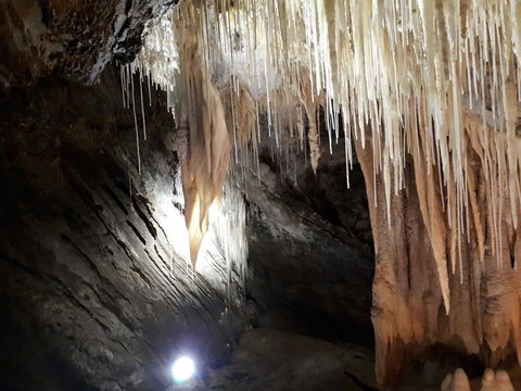 Robin\'s Nest B&B - Gold Coast 29