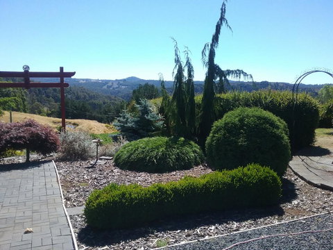 Robin\'s Nest B&B - Gold Coast 13