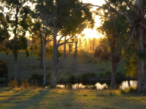 Platypus Park Country Retreat - Tourism Gold Coast 30