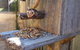Driftwood-Cottage - thumb 29