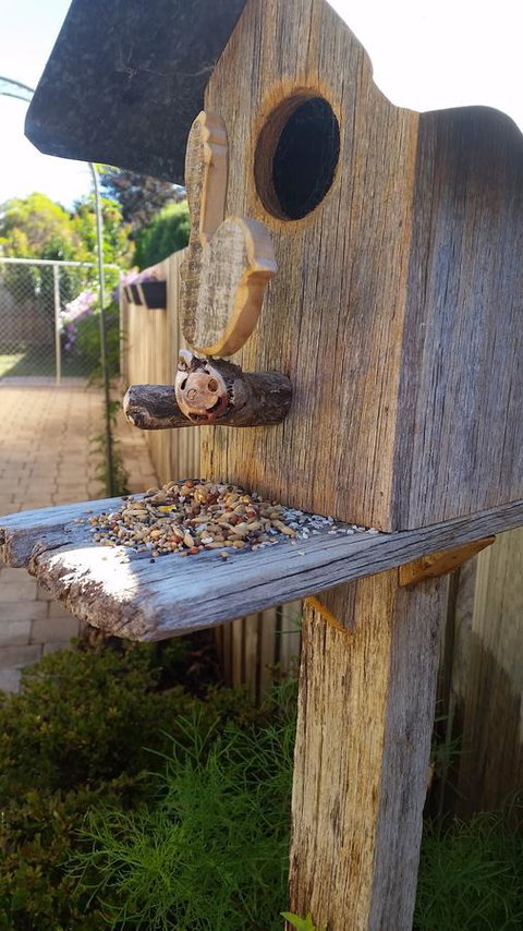 Driftwood-Cottage - Tourism Gold Coast 29