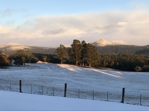 Highgrove - Tourism Gold Coast 26