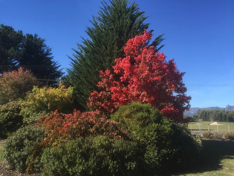 Highgrove - Tourism Gold Coast 22