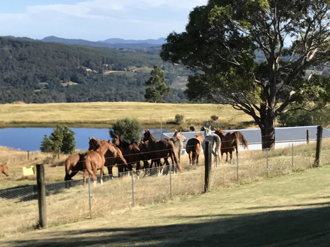 Highgrove - Tourism Gold Coast 25