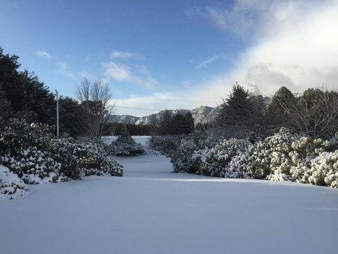 Highgrove - Tourism Gold Coast 27