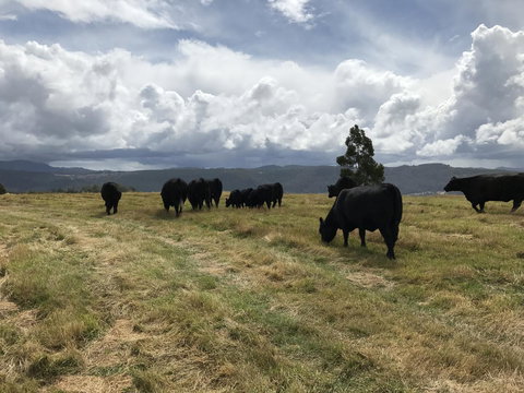 Highgrove - Tourism Gold Coast 24