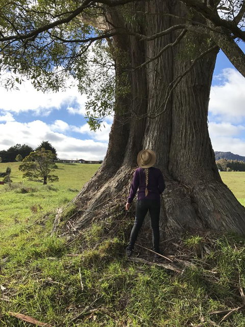 Highgrove - Tourism Gold Coast 21