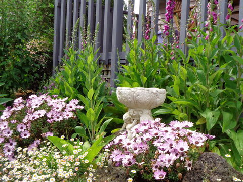 Post House Cottage - Tourism Gold Coast 19