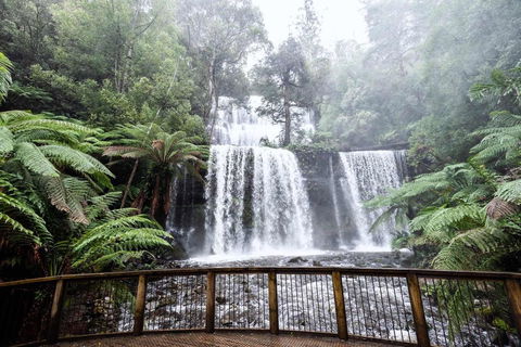 Post House Cottage - Tourism Gold Coast 23