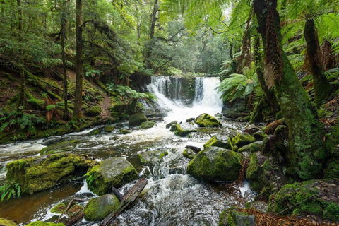 Post House Cottage - Tourism Gold Coast 22