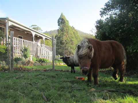 Post House Cottage - Tourism Gold Coast 3