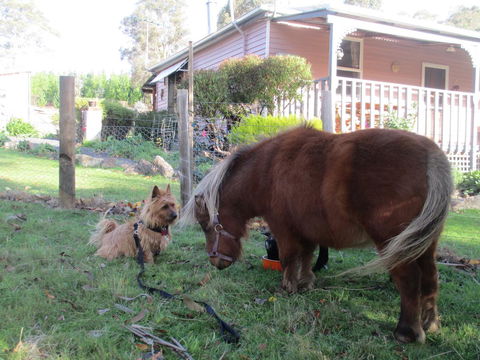 Post House Cottage - Tourism Gold Coast 4