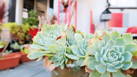 New Norfolk Junction Motel - Gold Coast 27