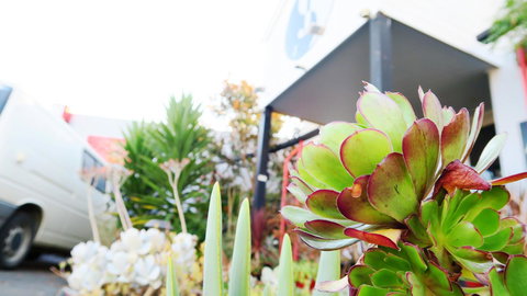 New Norfolk Junction Motel - Gold Coast 32