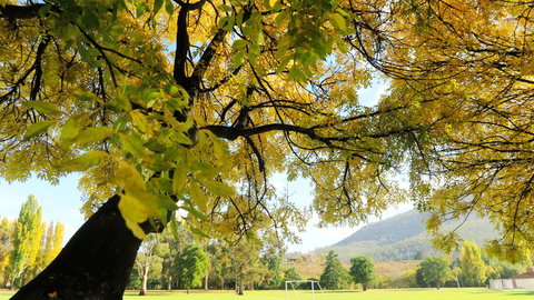 New Norfolk Junction Motel - Gold Coast 17