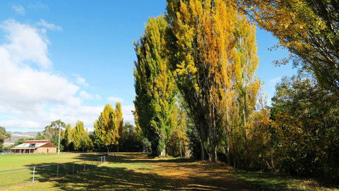 New Norfolk Junction Motel - Gold Coast 15