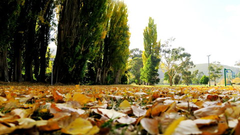 New Norfolk Junction Motel - Gold Coast 19