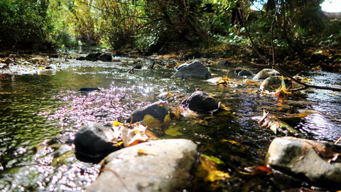 New Norfolk Junction Motel - Gold Coast 20