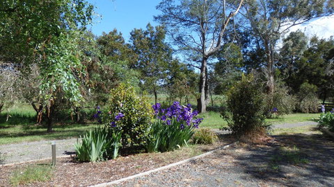 Karoola Cottage Self Contained - Gold Coast 19
