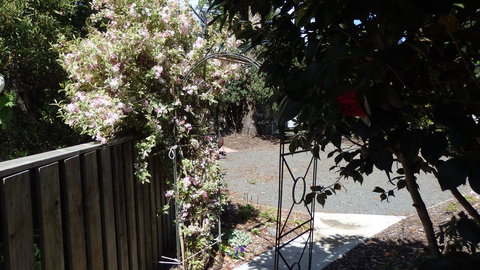 Karoola Cottage Self Contained - Gold Coast 20