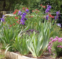 Karoola Cottage Self Contained - Gold Coast