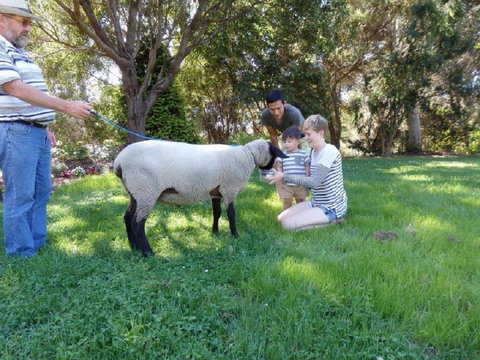 Karoola Cottage Self Contained - Gold Coast 23