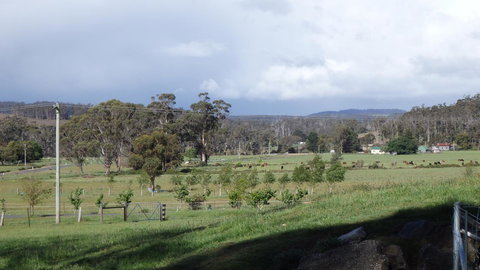 Karoola Cottage Self Contained - Gold Coast 11