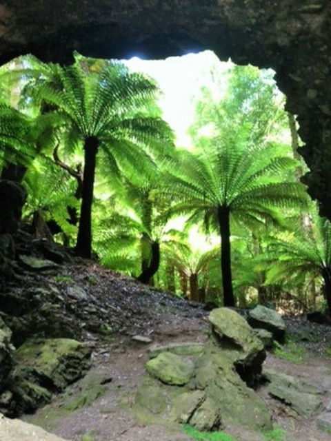Sheer Pleasure Accommodation - Tourism Gold Coast 22
