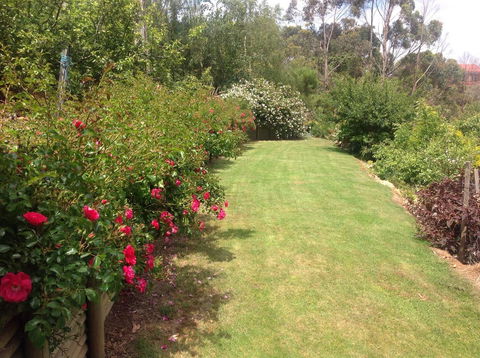 Sheer Pleasure Accommodation - Tourism Gold Coast 7