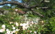 The Grove Cottages - thumb 11