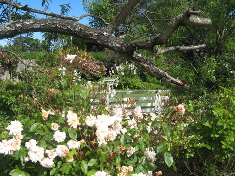 The Grove Cottages - Tourism Gold Coast 11