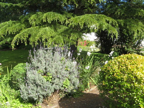 The Grove Cottages - Tourism Gold Coast 12
