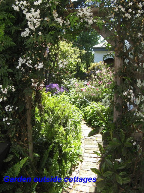 The Grove Cottages - Tourism Gold Coast 3