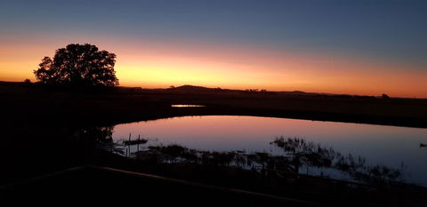 New Horizons Farm Stay - Tourism Gold Coast 1
