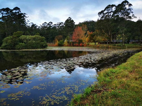 OCT Forest Lodge - Tourism Gold Coast 2