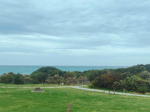 ODYSSEY APOLLO BAY - Tourism Gold Coast 2