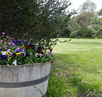 Padthaway Caravan Park - Tourism Gold Coast