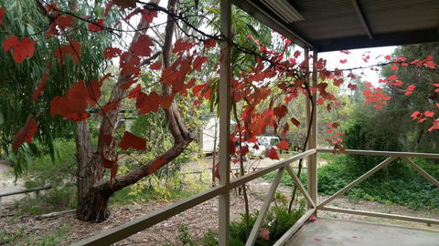 Padthaway Caravan Park - Tourism Gold Coast 1