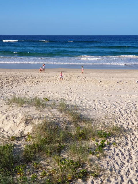 Palmy Sea Breeze - Tourism Gold Coast 0